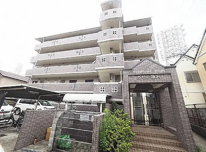 6025　ガゼル藤沢